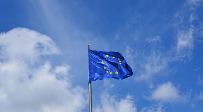 Nova pravila EU omogočajo vožnjo težjih avtodomov s kategorijo B