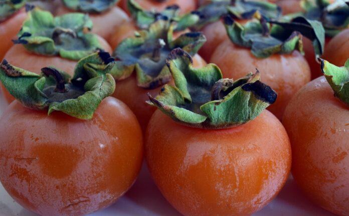 praznik-kakijev-v-strunjanu-kultura-in-dobrote-na-obali-68ff34b439c9e-1761555636