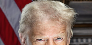 Trumpova zlata kartica: Privabljanje bogatih ali prazna obljuba?