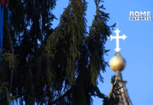 Tradicionalno božično drevo ponovno krasi Trg sv. Petra #Video