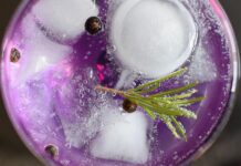 Evropska sodba: “Gin” le za pijače z alkoholom in brinovimi jagodami