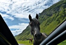 Jahač huje poškodovan v nenavadni nesreči na Banjšicah