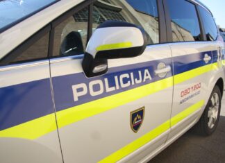 Tragična nesreča pri Metliki: Voznik umrl na kraju dogodka