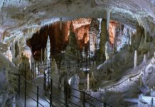 UNESCO razglasil mednarodni dan jam in krasa: Pobuda iz Slovenije