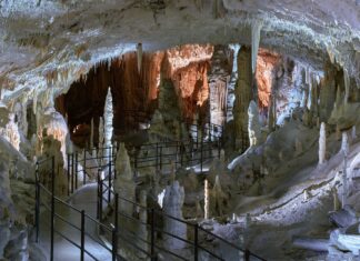 UNESCO razglasil mednarodni dan jam in krasa: Pobuda iz Slovenije