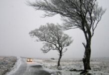 Sever Evrope v primežu snežnega neurja: Švedska plačala visok davek, tudi z življenji #foto