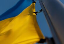 Ukrajinski poslanci vpleteni v kriminalno združbo: Nabu razkriva škandal