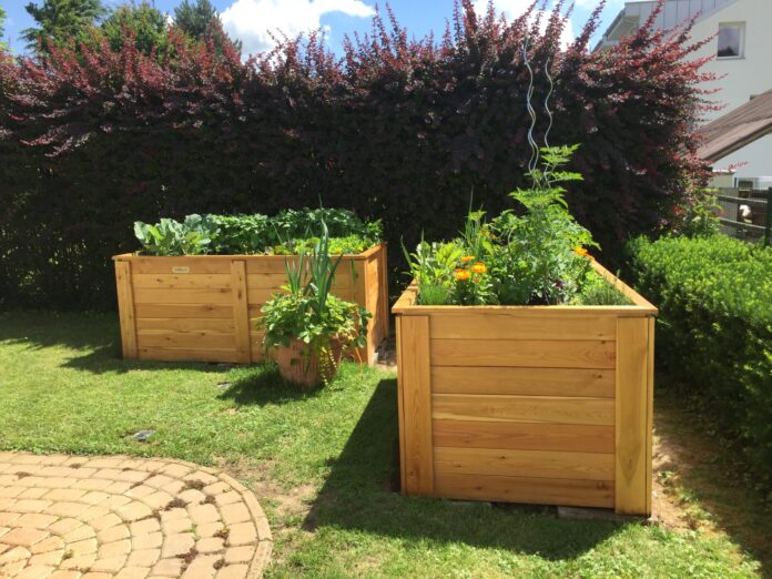 visoke-grede-v-teharju-preobrazba-vrtnarjenja-s-subvencijami-693c2e1c15fc5-1765551644