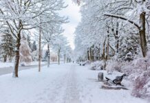 Arso opozarja na nevarnost poledice: Kakšna je pričakovana meja sneženja?