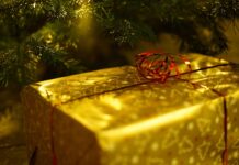 Ganljiva zgodba: Slovenci in Hrvati združeni za pomoč Karmen #video