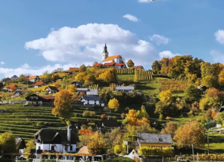 Kako je poštar spremenil življenje Gordane Dobriha na Dolenjskem #foto
