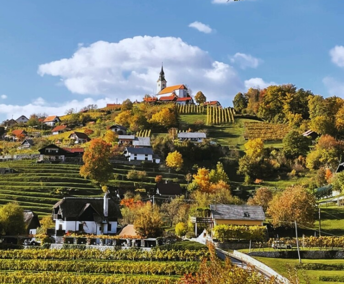 kako-je-postar-spremenil-zivljenje-gordane-dobriha-na-dolenjskem-foto-697e515bd64e9-1769886043