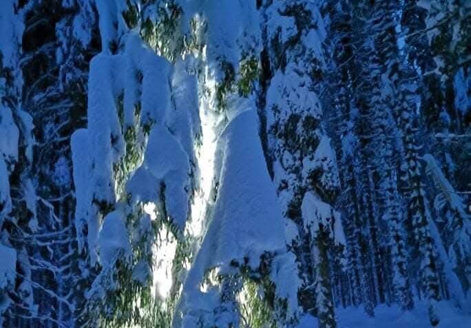 oranzno-opozorilo-arso-mocno-snezenje-in-burja-kaksna-bo-kolicina-snega-danes-695cdd4ec740e-1767693646