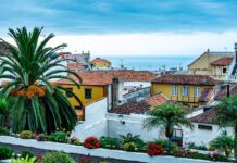 Norveški kralj Harald V. med počitnicami hospitaliziran na Tenerifu