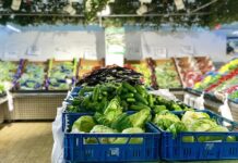 Velikonočni prazniki v Sloveniji: Trgovine zaprte dlje časa