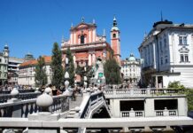 Vpliv alkohola na prometno nesrečo na Prešernovem trgu