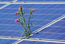 Celje postavlja temelje trajnosti z novimi sončnimi elektrarnami