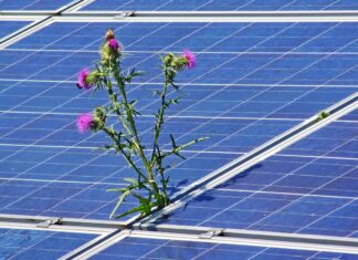 Celje postavlja temelje trajnosti z novimi sončnimi elektrarnami