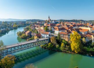 Dušan Teropšič znova zmagal na izboru Županovega vina 2026#foto