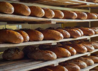 Golobova vlada podprla znižanje DDV na osnovna živila