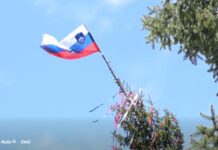 Impozanten prvomajski mlaj v Rušah presegel 30 metrov #video