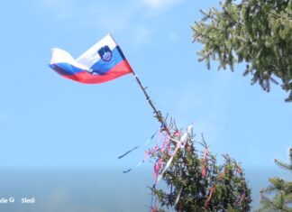 Impozanten prvomajski mlaj v Rušah presegel 30 metrov #video