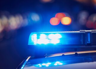 Incident v lokalu na Škofijah: Goli moški v lokalu na Škofijah povzročil kaos in aretacijo