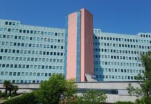 Ingrid Kuk Kikl prevzema krmilo šempetrske bolnišnice