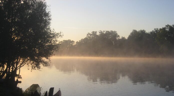 Tragedija na Kolpi: Smrt enega od sedmih sudanskih migrantov