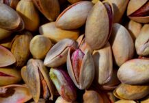 Lupine pistacij: Naravni čudež za zaščito in drenažo vrta