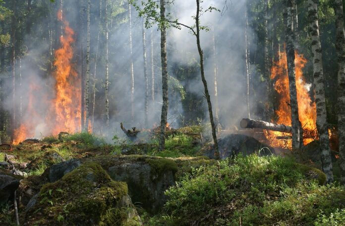 nepricakovan-pozar-pri-komnu-sum-na-podtaknjeno-dejanje-69d65f6982daf-1775656809