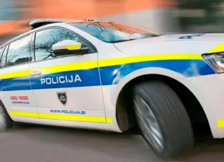 Policisti v Črnomlju prijeli osumljenca nasilja v družini