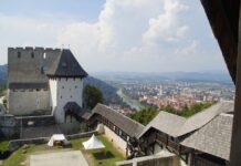 Porast Parkinsonove bolezni v Sloveniji: Celjski grad v modrem