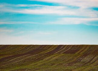 Prodajate zemljišče: Uprite se špekulantom z našimi nasveti