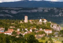 Rop z ostrim predmetom v Kopru: Policija ujela osumljenca