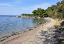 Simbolična zasaditev češnje kot opomnik naravne moči