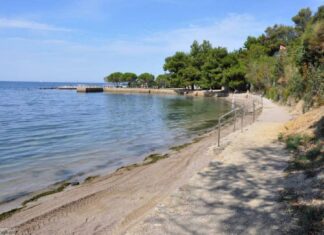 Simbolična zasaditev češnje kot opomnik naravne moči