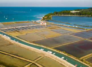 Solinarski praznik v Piranu: Tridnevno slavje tradicije in okusov