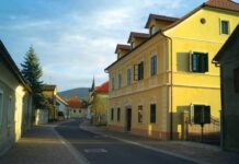 Tradicionalno srečanje starejših v Kostanjevici navdušilo z obilo smeha in glasbe