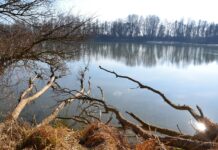 Tragedija ob Dravi: Nesreča v Smolniku pretresla Slovenijo