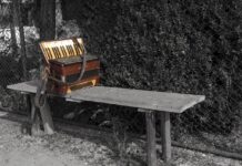 Velenje cilja na Guinnessov rekord z 5.500 harmonikarji