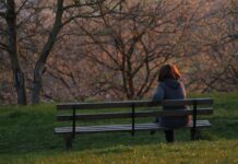 Porast prijav spolnega nasilja v Sloveniji, a obsodb malo