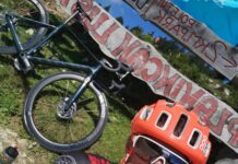 Zoran Stevanović in Robert Kranjec: Politična vez, ki preseneča