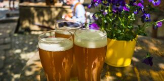 Francija v letu 2025 prvič: Pivo prehitelo vino!