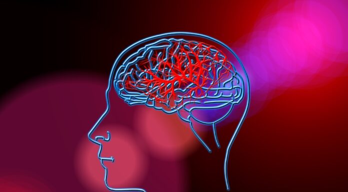 Ko možgani delajo počasneje: poletni pojav oziroma “brain fog”, ki ga občuti veliko ljudi