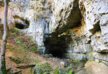 Nova Gorica vabi na Bogatajeve dni: Spoznaj reševalne junake! #foto