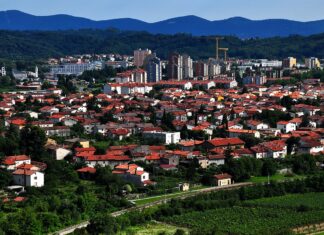 Povezovanje občin in gospodarstva: Prihodnost Goriške