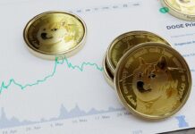 Ptujčan izgubil 30.000 evrov v kripto prevari – kako se zaščititi?