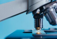 Ptujski laboratorij pred prenovo: Kaj prinaša prihodnost?