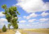 Romarji povezujejo Camino poti: Od Hrvaške do Kompostele #foto